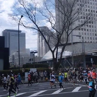 画像246