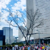 画像247