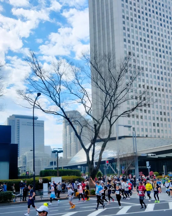 画像247