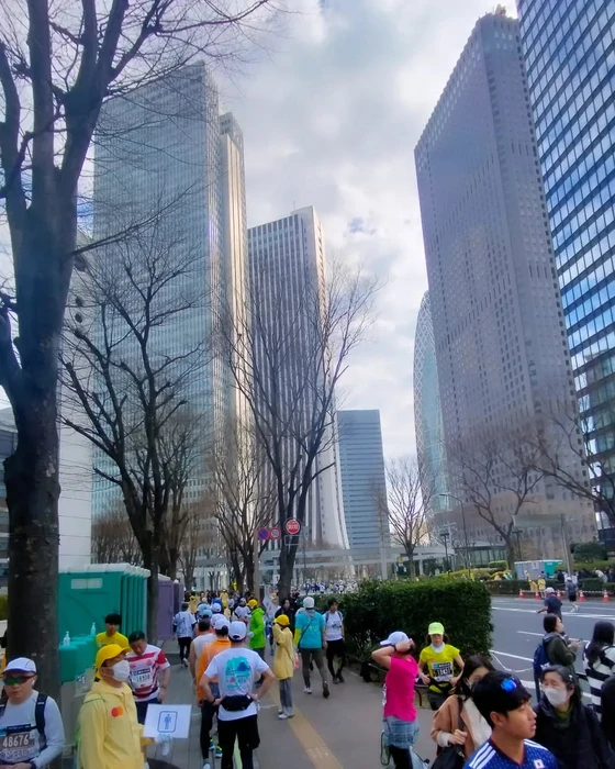 画像249