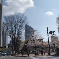 画像271