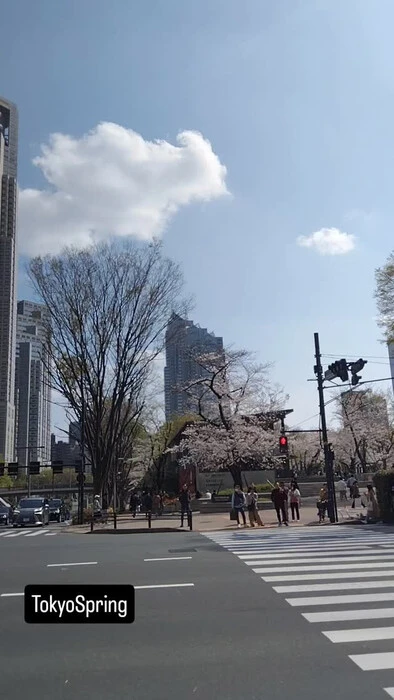 画像271